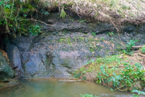 River Bank & Bed leading to Christiana Blue Hole & Waterfall