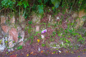 Rocks of Mile Gully Mountain, Manchester Jamaica 