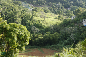 Sinkhole or Depression at Walderston Manchester Jamaica 