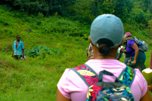 Hiking to Morgan's Pond Hole, Jamaica 