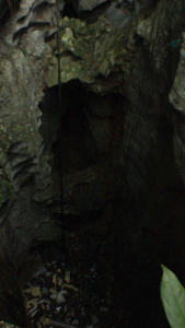 Pond of Morgan's Pond Hole, with leaf litter covering 