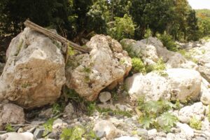 Past River Flooding Indicator in Jamaica