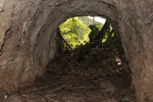 Elma Gold Mine Adit in Jamaica
