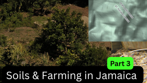 Copy of @OBfitnessjm_20260305_110027_0000