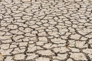 Desiccation Cracks