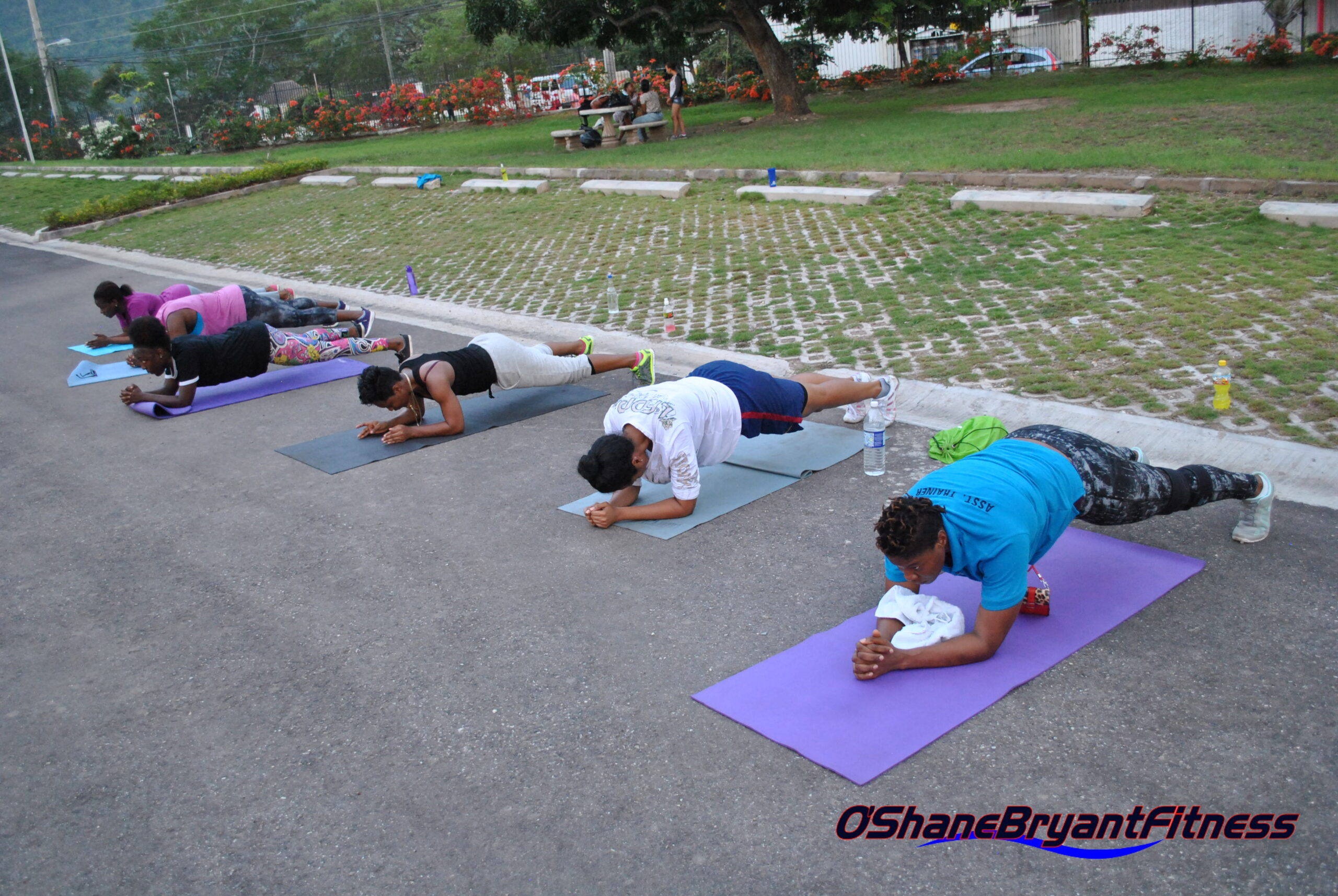 Flexi-Core_1-scaled