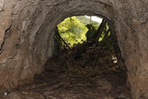 Elma Gold Mine Adit in Jamaica
