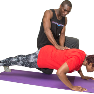 Online Personal Training System-12 Sessions Monthly (Automated Payment)