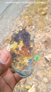 Iron & Copper Jamaica 