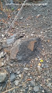 Mudstone Geology Jamaica 