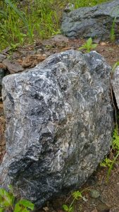 Blueschist Geology Jamaica 