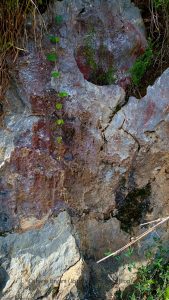 Black Recrystallized Limestone or Black Marble, with Cave Features, at Westphalia 🇯🇲 Jamaica