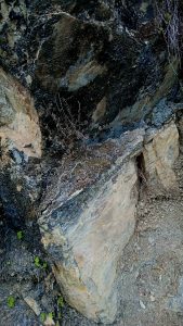 Blueschist with carbonate mineralization with slickenside, at Westphalia 🇯🇲