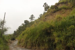 Landslide Jamaica