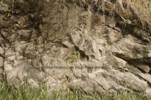 Dacite Volcanic Rock Jamaica 