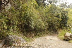 Rockfall Jamaica 