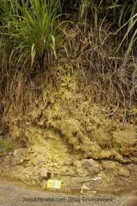 Mineral Spring in Jamaica 