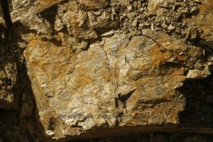 Blueschist with Iron Staining at Westphalia 🇯🇲