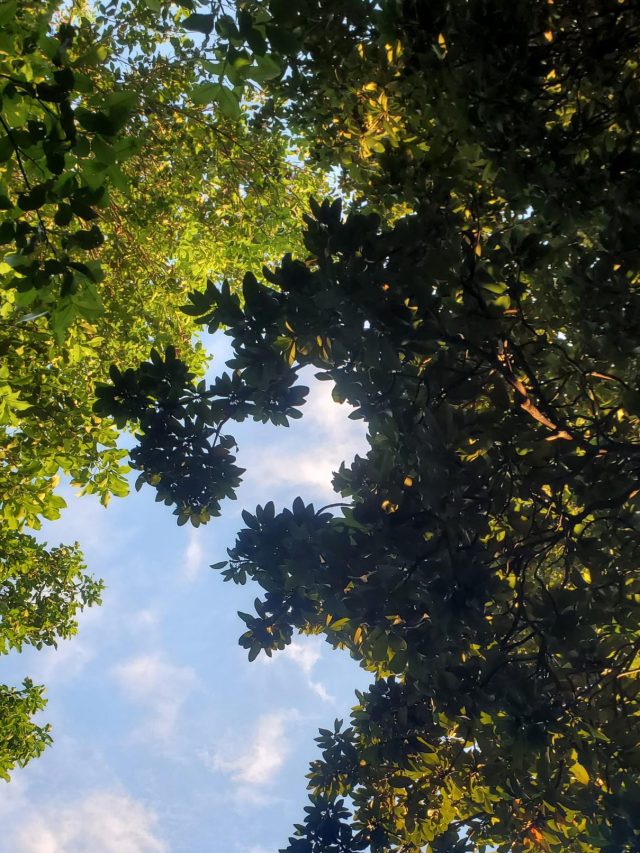 Nature Is Calling